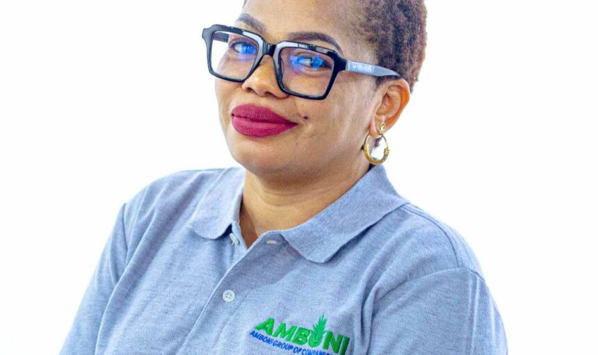Amboni Group Profile-2