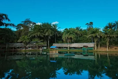 Amboni Group - Magoroto Forest
