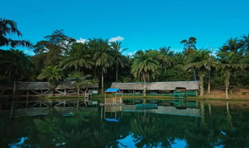 Amboni Group - Magoroto Forest